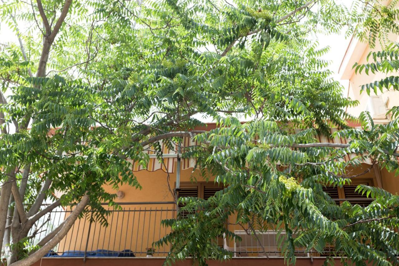 Casa di Clara Apartment Acireale Bagian luar foto